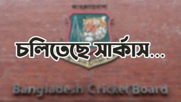 চলিতেছে সার্কাস…